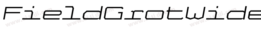 FieldGrotWide Medium字体转换